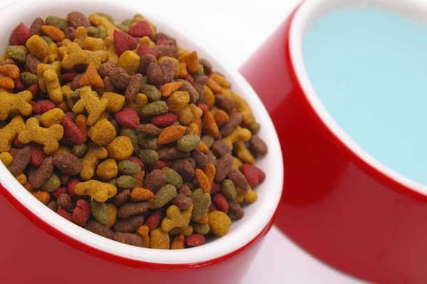 تصویر 5 از قیمت غذای بچه گربه خانگی با کیفیت ارزان + خرید عمده